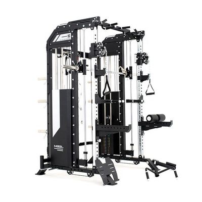 Maximize Your Gym Space with 1990*1790*2300 mm Custom All-In-One Bodyweight Equipment