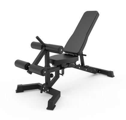 Adjustable Sit Up Bench for Weight Lifting Modern Style Foldable Dumbbell Weight Bench
