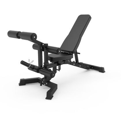 Adjustable Sit Up Bench for Weight Lifting Modern Style Foldable Dumbbell Weight Bench