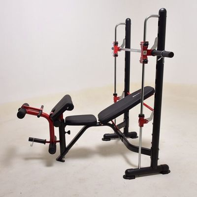 Indoor Weight Lifting Bench and Power Rack for Strength Training in Dark Grey