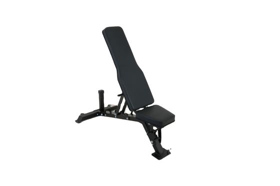 Adjustable Power Dumbbell Press Sit Up Bench for Indoor Fitness Training from Metal