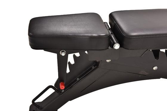 Adjustable Gym Heavy Duty Bench for Multifunction Fitness Exercise in 1210x742x450mm Size