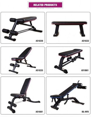 Adjustable Utility Bench for Body Fit Equipment Assembled Dimension 1610*630*1310 mm