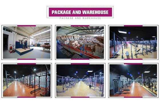 Adjustable Utility Bench for Body Fit Equipment Assembled Dimension 1610*630*1310 mm