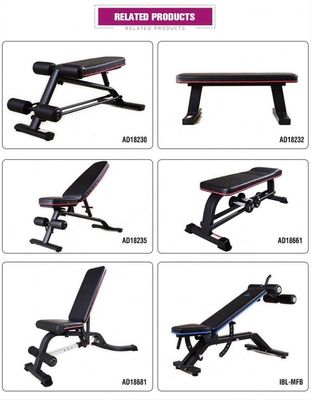 Foldable Gym Utility Bench with Adjustable Design Assembled Dimension 1610*630*1310 mm