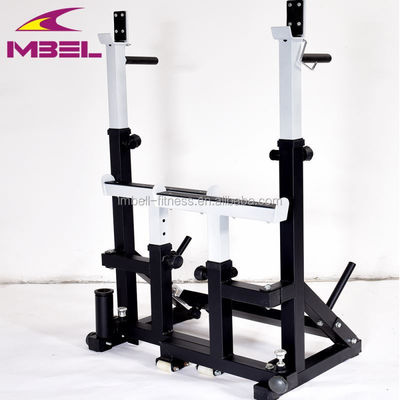 NO Foldable Integrated Gym Trainer Chinese Adjustable Bench Squat Rack