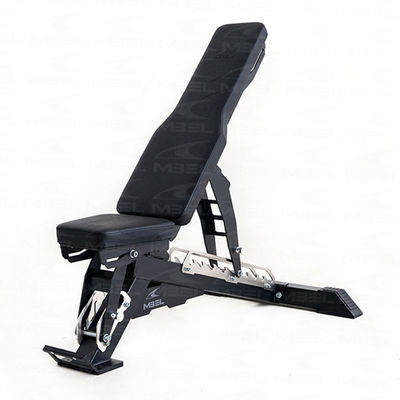 Qingdao Loading Port Popular Commercial Adjustable Bench for Bicep Strength Training