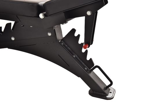 Multifunctional Abdominal Bench Sturdy Material and Bodybuilding Function for Home Gym